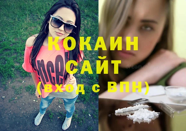 прущие грибы Балахна