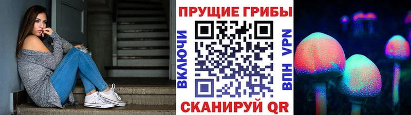 наркота  Коломна  площадка формула  Галлюциногенные грибы Psilocybe 